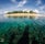White Island 