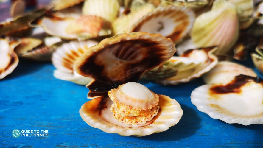 Iloilo scallops Iloilo scallops