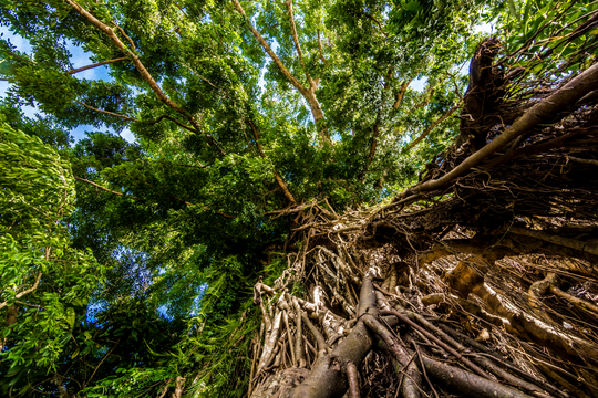 Baler Town Top Attractions Tour in Aurora Province from Manila City