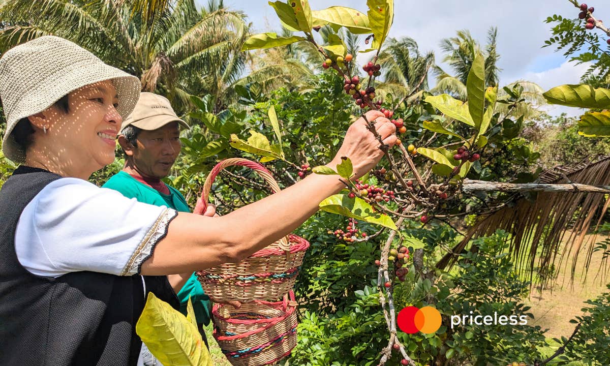 Get the chance to pick coffee fruit during this farm tour near Tagaytay City