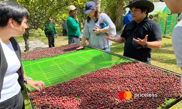 Learn Coffee Farming & Brewing Near Tagaytay City from Manila with Premium Gift