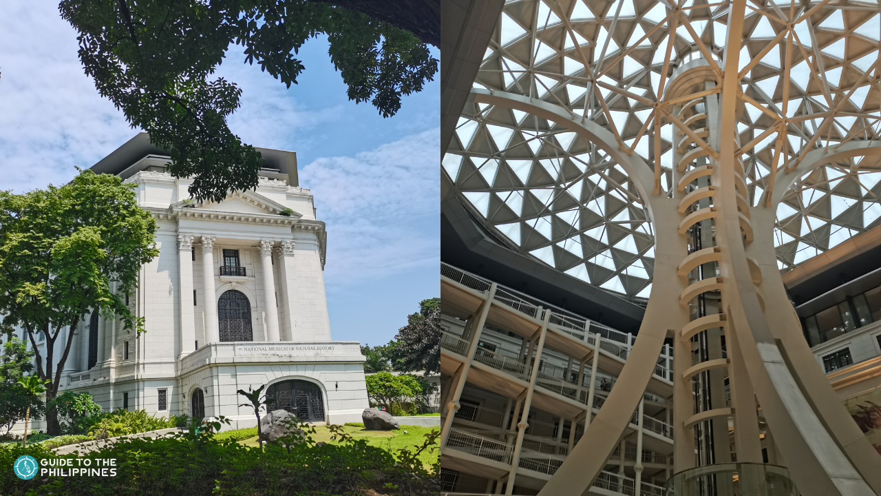 The beautiful facade and interior of the National Museum of Natural History of the Philippines.