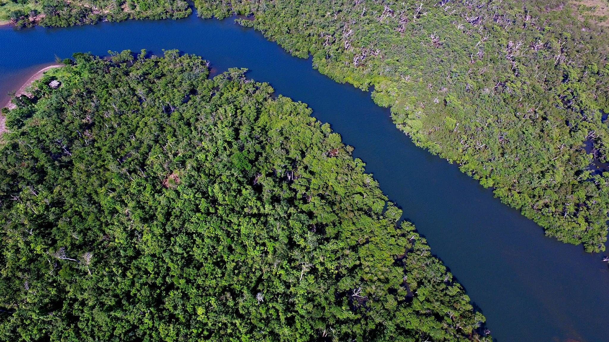 Northern Sierra Madre Natural Park