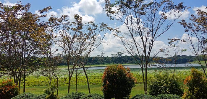 Information about Nasuli Cold Spring | Guide to the Philippines
