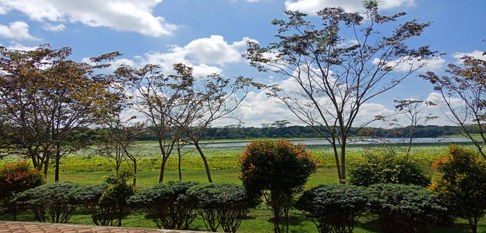 Information about Nasuli Cold Spring | Guide to the Philippines