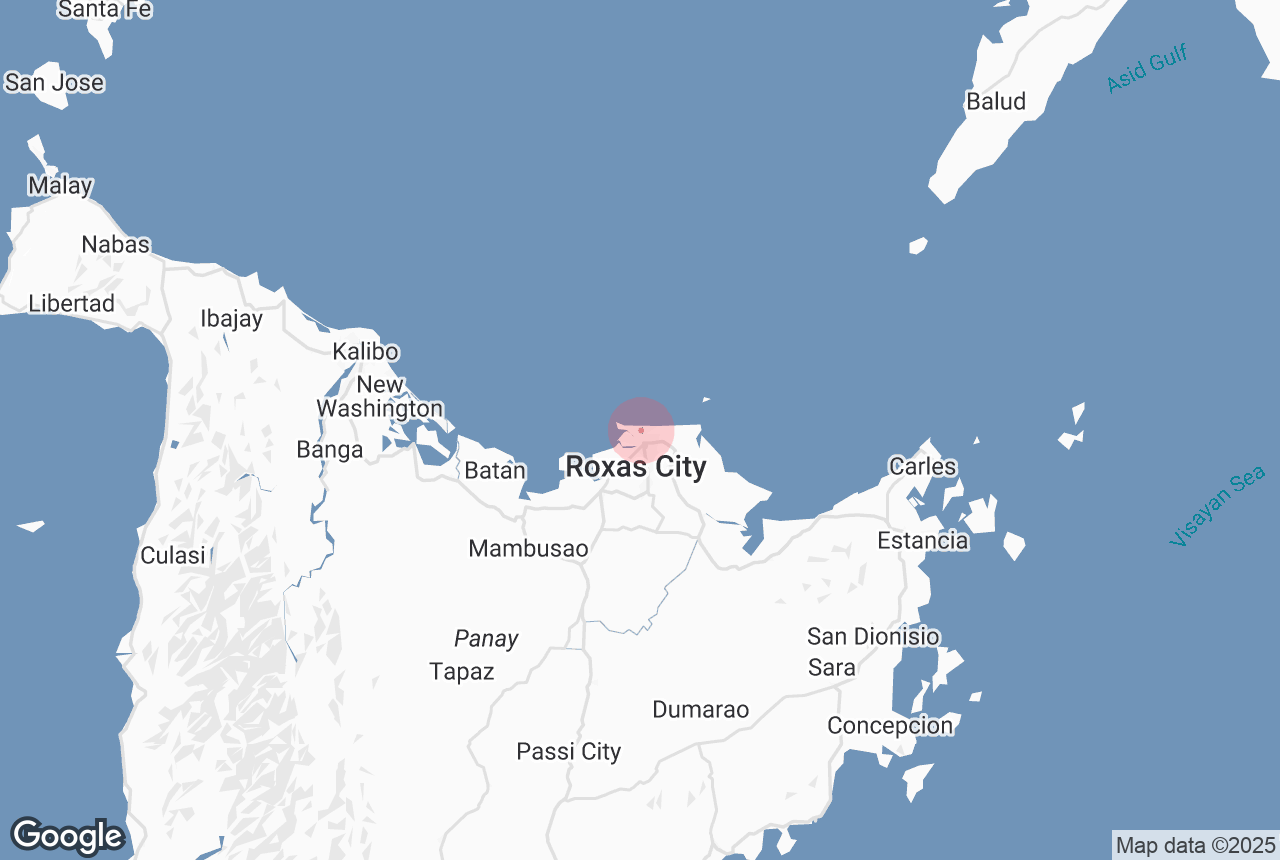 Roxas City Airport
