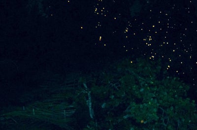 Breathtaking 13-Day Tour to Best Beaches & Islands Vacation Package from Manila City - day 2