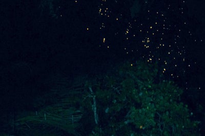 Breathtaking 13-Day Tour to Best Beaches & Islands Vacation Package from Manila City - day 2