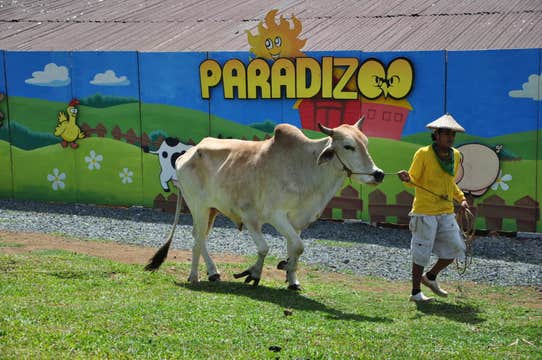 Ticket to Paradizoo Theme Farm near Tagaytay City