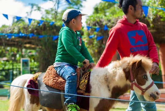 Ticket to Paradizoo Theme Farm near Tagaytay City