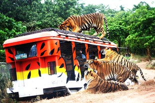 A secure jeepney ride for the Tiger Safari experience is included in this day pass to Zoobic Safari in Subic Bay Freeport Zone