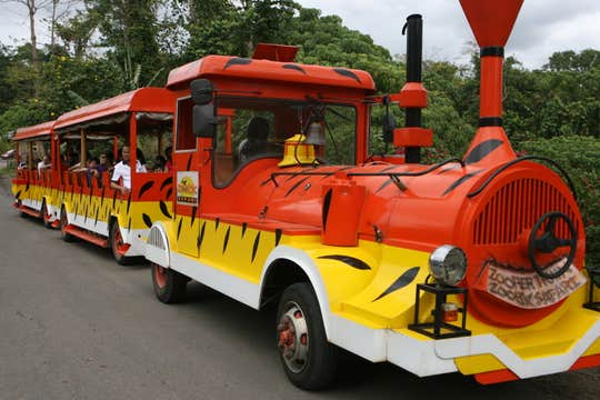 Day Pass to Zoobic Safari in Subic Bay Freeport Zone