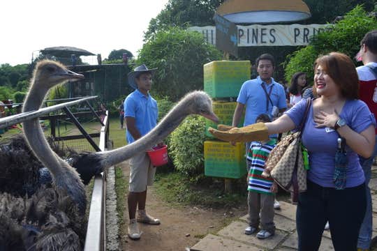 Ticket to Zoocobia Fun Zoo in Clark City