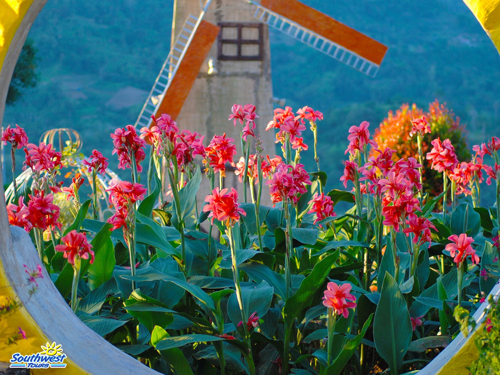 See the vibrant blooms of Sirao Garden when you book this Cebu City highlands tour