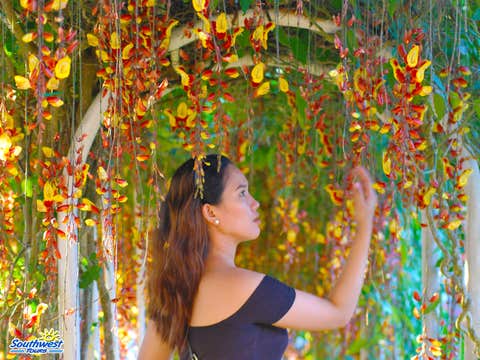 Private Tour of Cebu City Highlands with Transfers