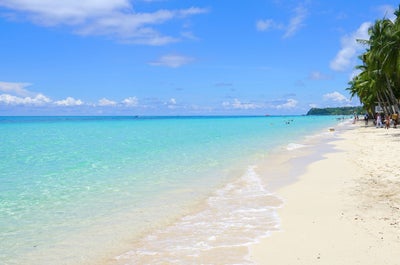 Oslob whale shark watching in Cebu, Philippines