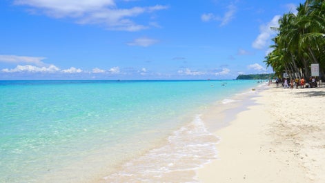 Oslob whale shark watching in Cebu, Philippines