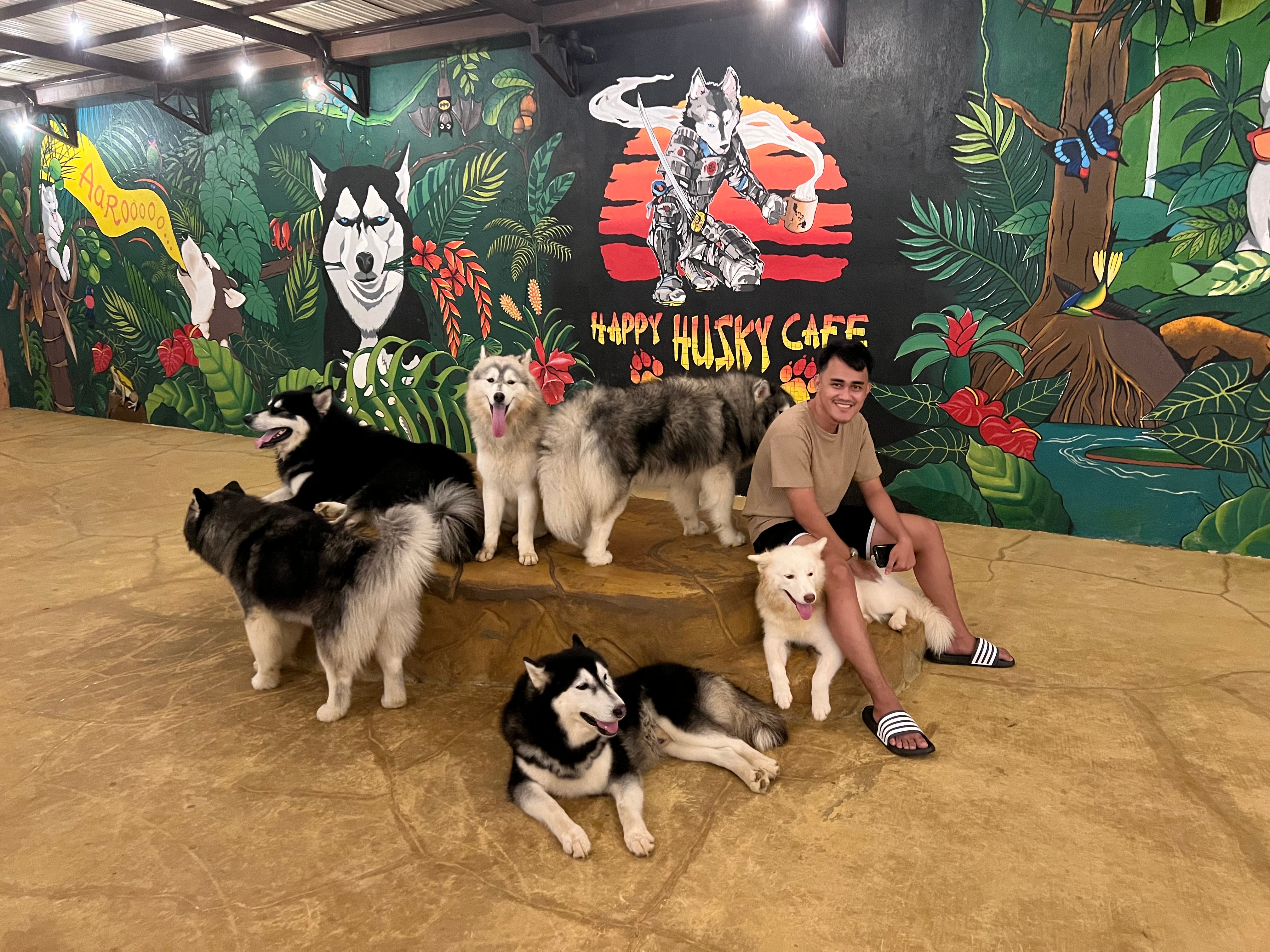 With this ticket to Puerto Princesa City’s Happy Husky Café in Palawan Island, travelers can experience interactive fun playing with husky dogs.