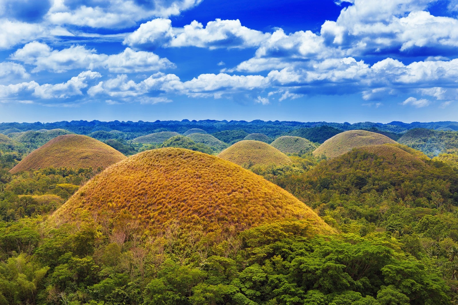 Chocolate Hills in Bohol Island, which you will visit during this tour package