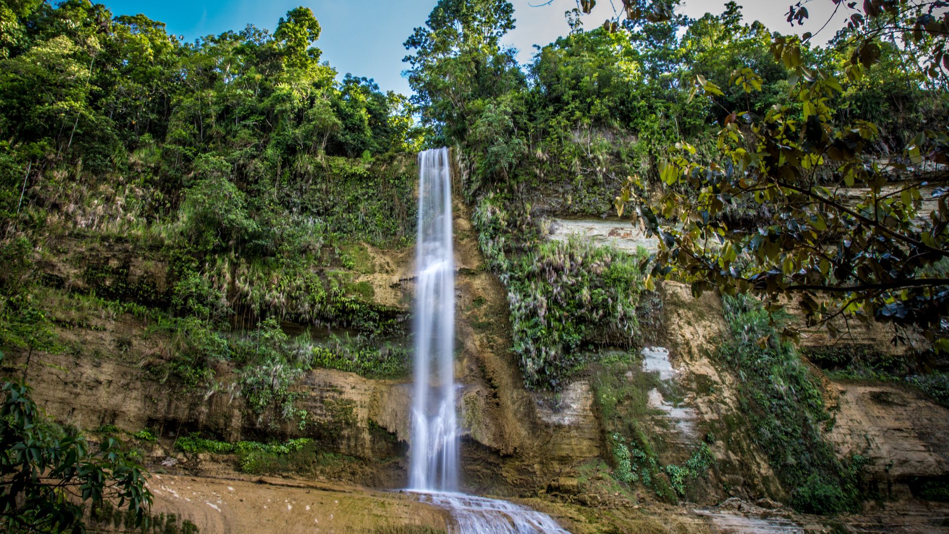 See dolphins frolicking in the waters of the Virgin Islands