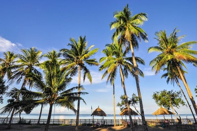 Thrilling 10-Day Whale Sharks & Dolphins Tour Package to Sorsogon Province, Bohol & Cebu Islands - day 6