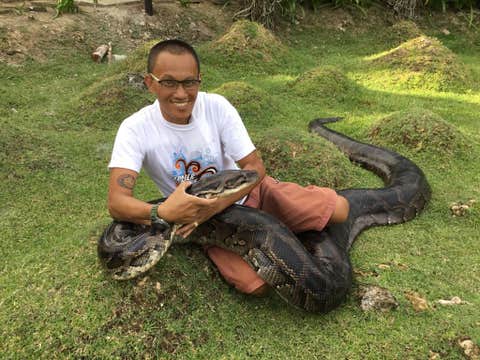 Ticket to Zoocolate Thrills Theme Park in Bohol Island