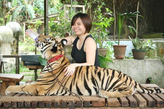 Ticket to Zoocolate Thrills Theme Park in Bohol Island