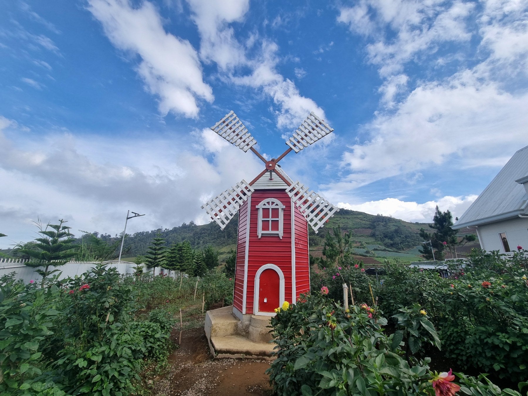 A bright red windmill surrounded by blooming flowers at Jardin De Señorita can be visited during this private countryside tour to the towns of Kapatagan & Bansalan in Davao del Sur Province.