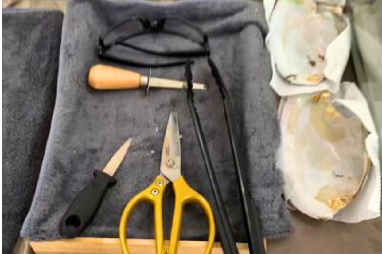 Experience hands-on pearl jewelry making in this private activity in Puerto Princesa City on Palawan Island.