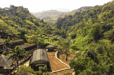Ceiling of Magellan's Cross in Cebu