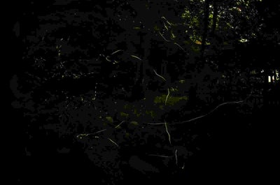 Epic 1-Month Tour Package to the Best Highlands & Islands in the Philippines - day 6