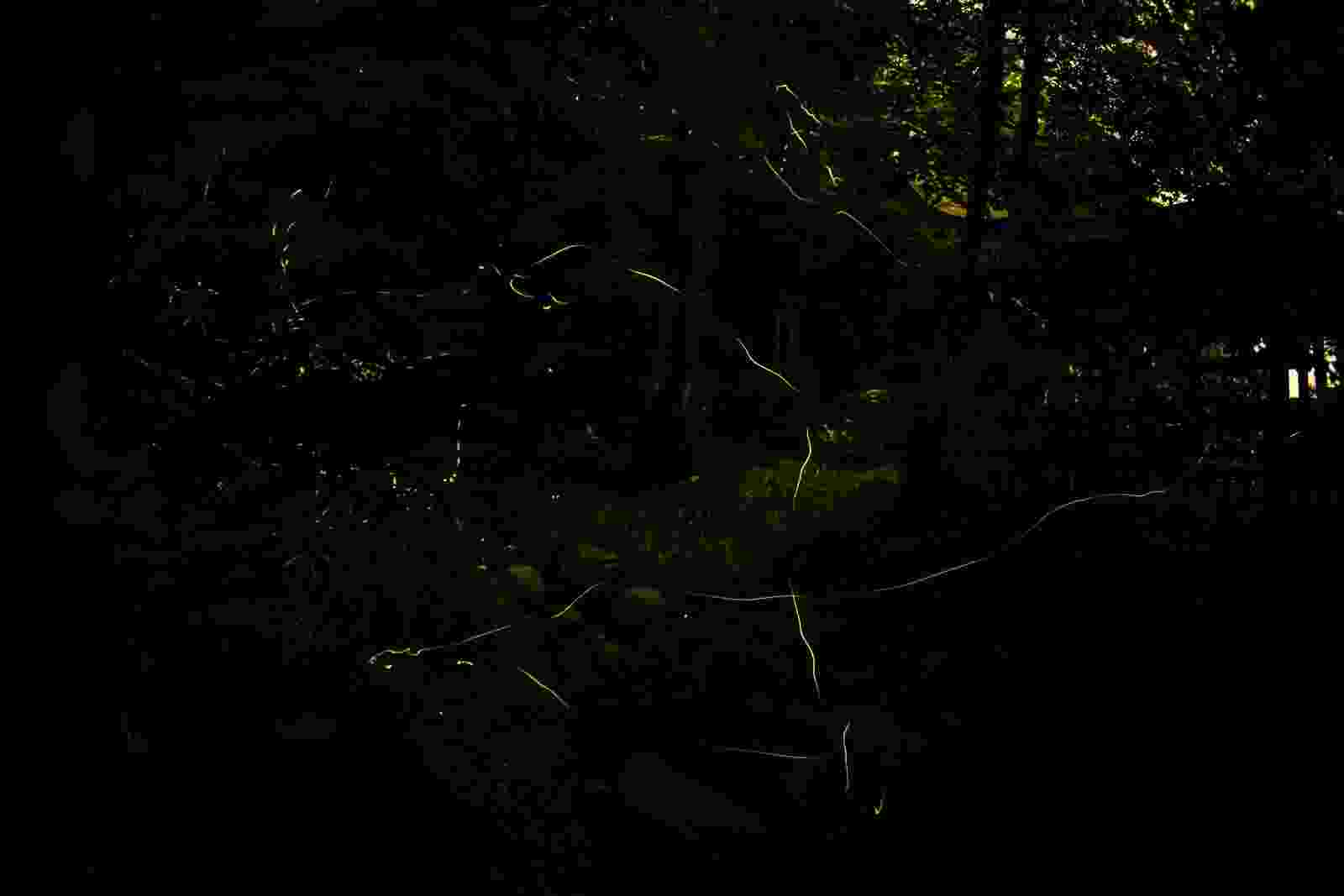 Epic 1-Month Tour Package to the Best Highlands & Islands in the Philippines - day 6