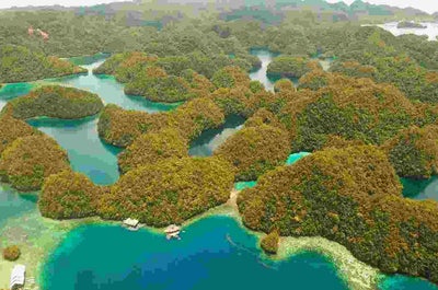 Epic 1-Month Tour Package to the Best Highlands & Islands in the Philippines - day 21