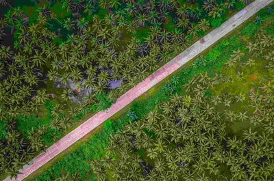 Epic 1-Month Tour Package to the Best Highlands & Islands in the Philippines - day 22