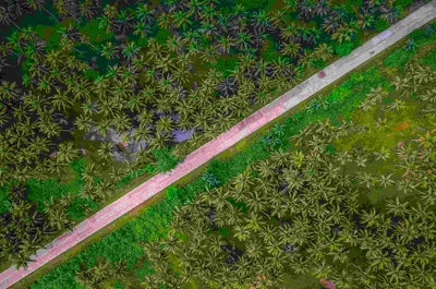 Epic 1-Month Tour Package to the Best Highlands & Islands in the Philippines - day 22