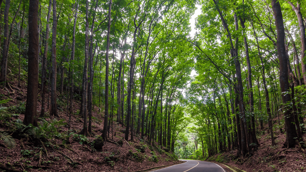 Cebu to Bohol Islands Itinerary Guide: Top Tours, Spots &amp; How to Get There