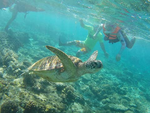 Exciting 1-Week Dumaguete City & Siquijor Island Tour Package to Beaches & Marine Life from Manila