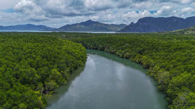 Private Dewil Mangrove Kayak Eco Tour in El Nido Island on Palawan