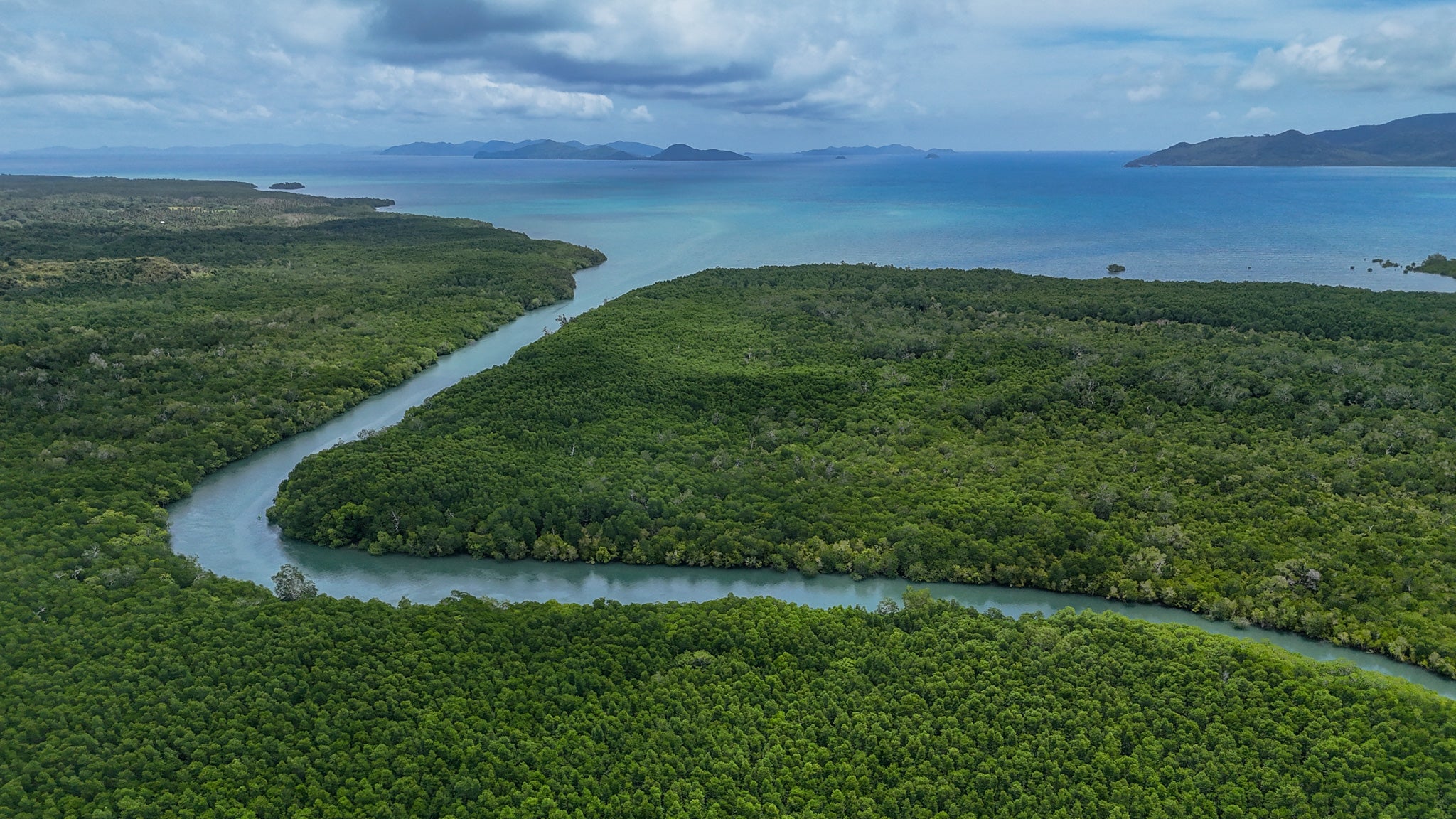 This kayak tour in El Nido town captures the stunning mangrove forest backdrop.