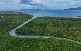 This kayak tour in El Nido town captures the stunning mangrove forest backdrop.