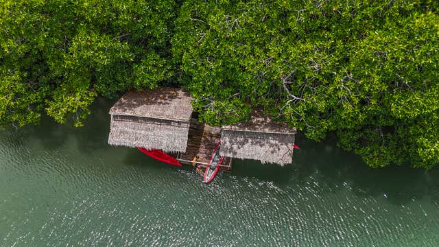 Private Dewil Mangrove Kayak Eco Tour in El Nido Island on Palawan