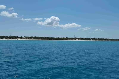 Oslob whale shark, Cebu, Philippines