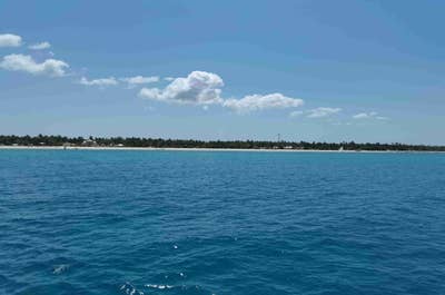 Oslob whale shark, Cebu, Philippines
