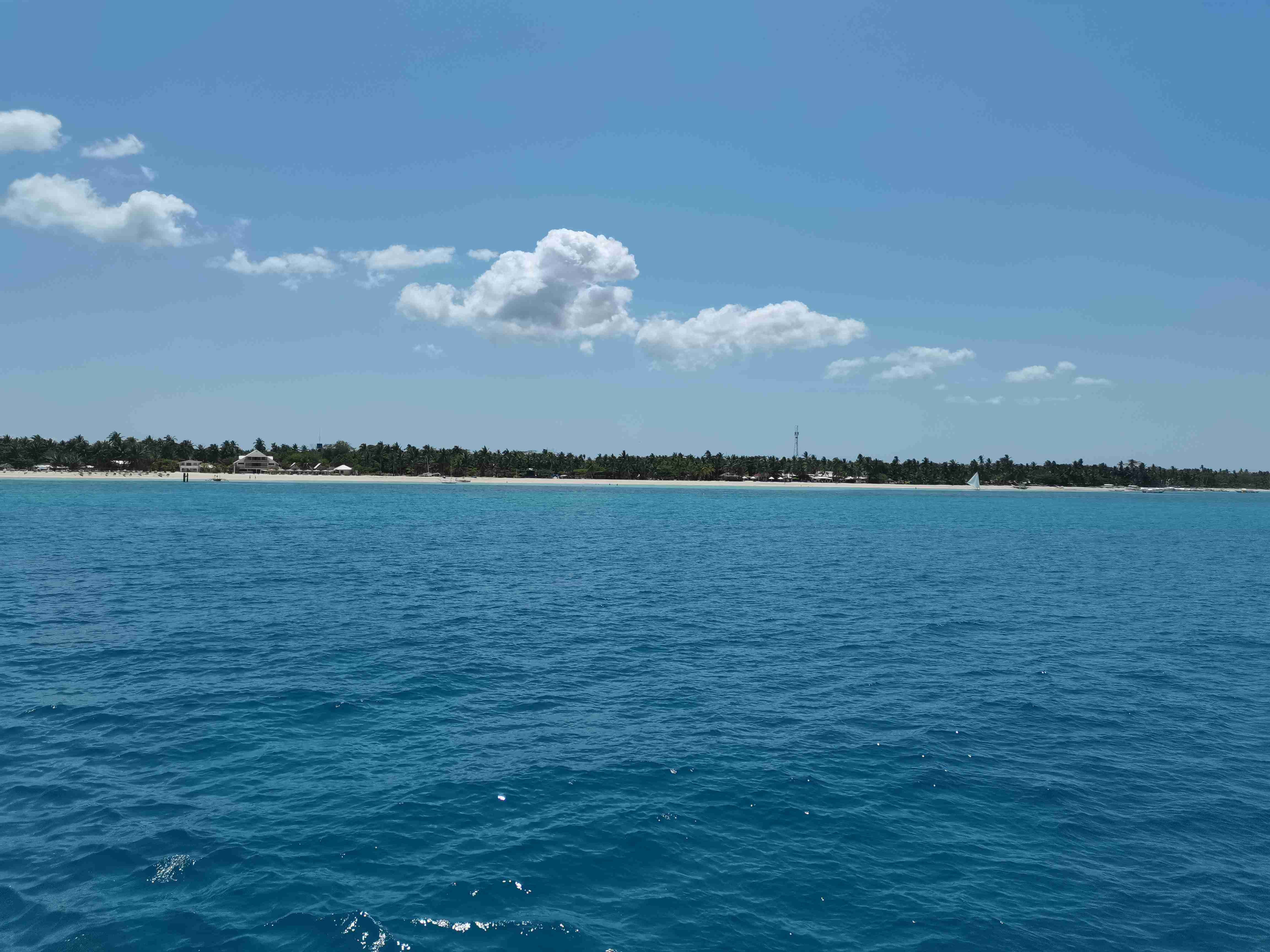 Oslob whale shark, Cebu, Philippines
