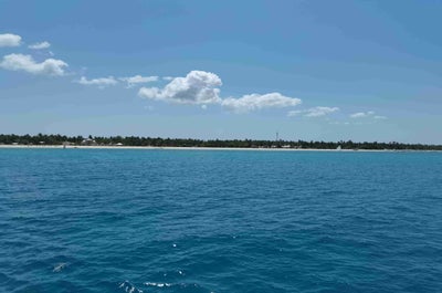 Oslob whale shark, Cebu, Philippines