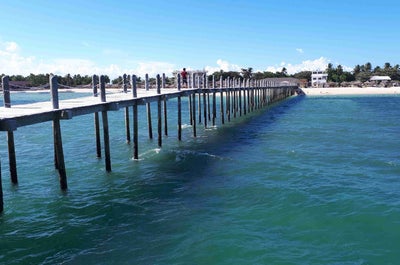 The famous and tasty Bacolod Chicken Inasal