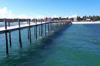 The famous and tasty Bacolod Chicken Inasal
