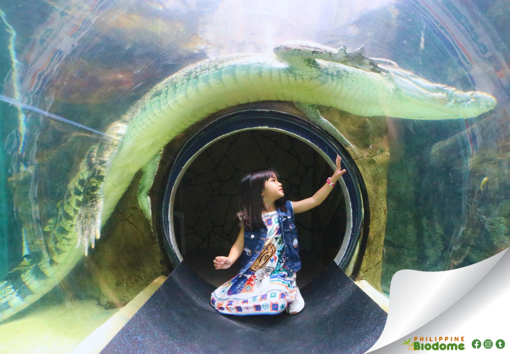 Philippine Biodome in Manila