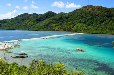 Discover Snake Island