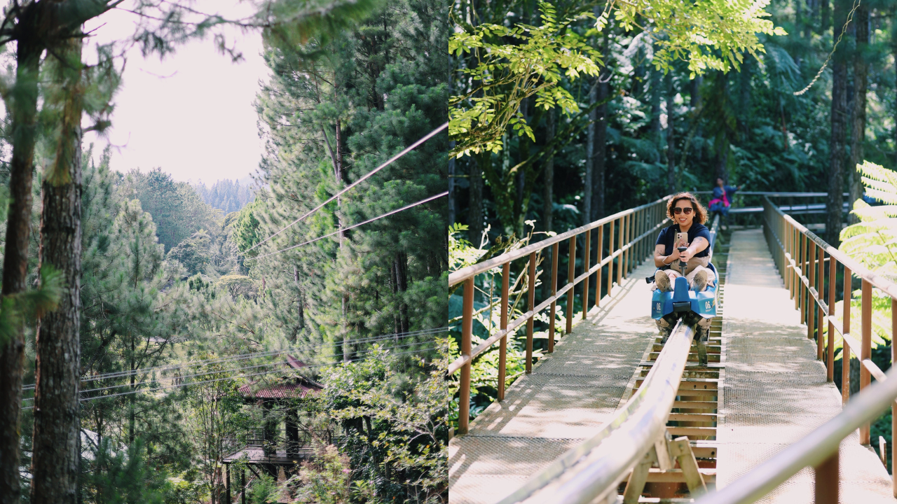 The zipline and mountain coaster of Dahilayan Adventure Park in Bukidnon Province.